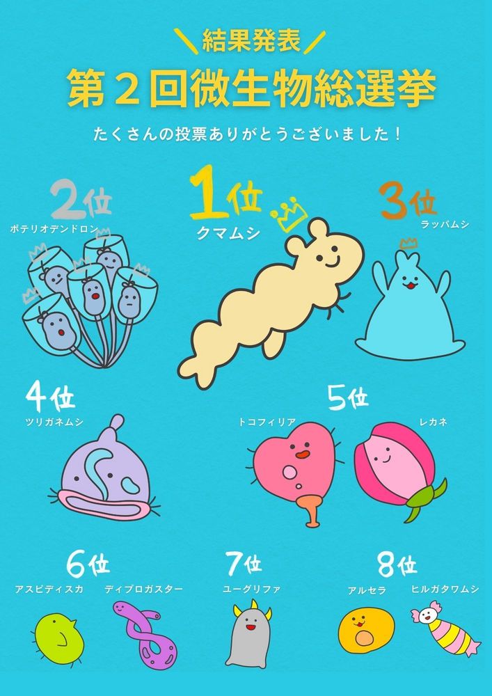 微生物総選挙結果(ポスター)